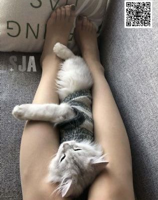 国产黄色小视频在线观看