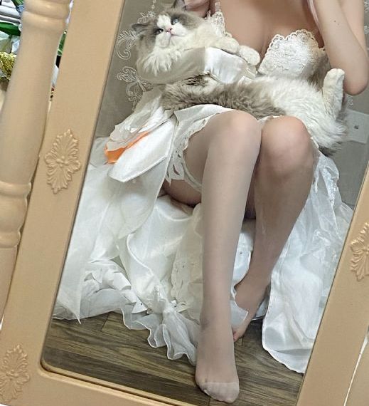 红色按钮51集电视剧全集观看