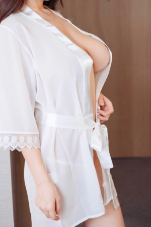 天鹅羽翼