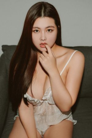 老版熊出没免费观看